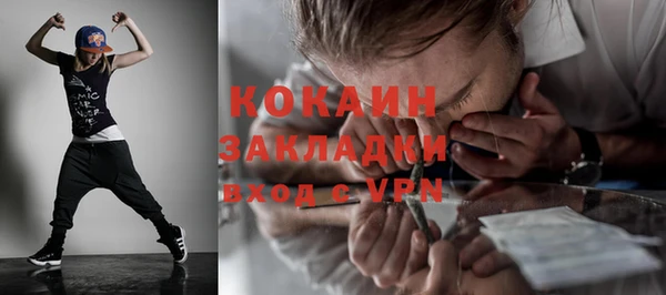 сатива Ростов