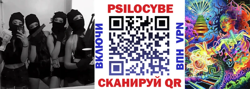 Псилоцибиновые грибы Cubensis  Камызяк 